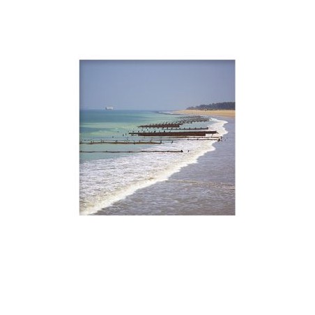 Carte postale Pola Le fort boyard et la plage sur l'île d'Oléron OPOLAC04