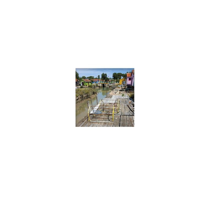 Carte postale Pola Les cabanes de pêcheurs du port du Chateau d'Oléron sur l'île d'Oléron OPOLAC06