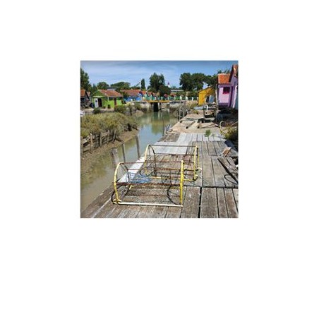 Carte postale Pola Les cabanes de pêcheurs du port du Chateau d'Oléron sur l'île d'Oléron OPOLAC06