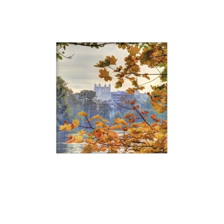 Carte postale pola Lyon LYPOLAC04