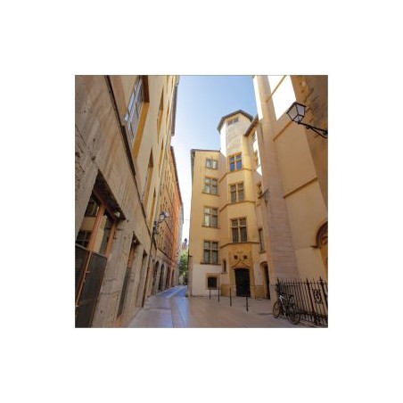 Carte postale Lyon LYCC02